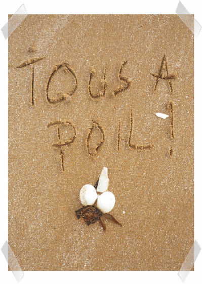 Tous &agrave; poil sur la plage